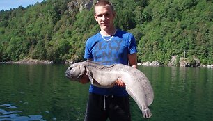Giedriaus M. jūrų vilkas, 7 kg (Norvegija)