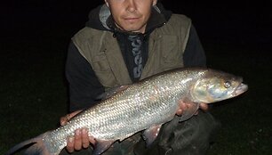 Žūklės laimikis. Arūno 3,9 kg salatis i&scaron; Nemuno.