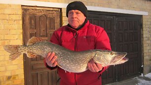 R.Liorento lydeka (8 kg), sugauta pasaulio pabaigos dieną.