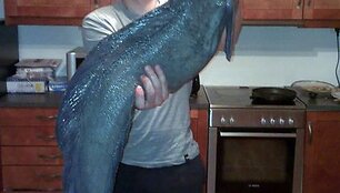Rimas sugavo 9,5 kg jūrų vilką