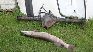 Andriaus S. 15 kg lydeka i&scaron; Nemuno