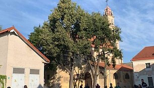 VSAT pareigūnai i&scaron; Vilniaus pasienio rinktinės, Aviacijos valdybos, Pasieniečių mokyklos ir kolegomis i&scaron; policijos startavo į intelektualų pažinimo ralį. Juos i&scaron;lydėjo kunigas Algirdas Toliatas.