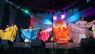 Edvardas Tamo&scaron;iūnas (koncertas)