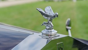 1956-ųjų Rolls-Royce Silver Wraith su priklaupusia Spirit of Ecstasy. (el.guy08_11, Wikimedia(CC BY 2.0)