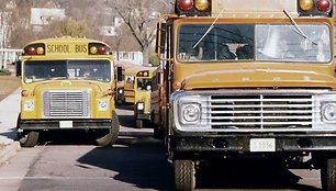 Mokykliniai autobusai 1974 metais. (David Rees, Wikimedia)