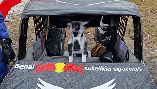 „Red Bull Jump & Freeze“ akį traukė komanda „Dakar Crash Team“