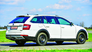 Auto Bild testas: naudota Škoda Octavia Scout