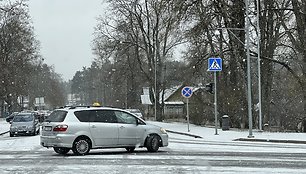 Pūga Druskininkuose