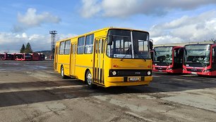 Istorinis autobusas „Ikarus“ atgimė troleibusų parke