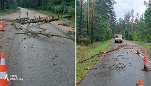 Nuo kelių šalinami medžiai