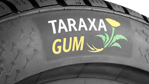  „TARAXA Gum“ eksperimentinės padangos