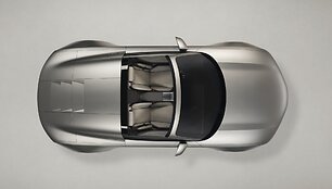 Sportinis dvivietis &bdquo;Audi Concept C&ldquo; 