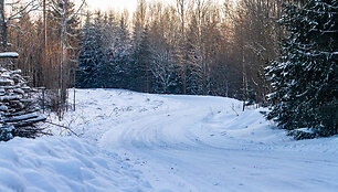 &bdquo;Biorina Winter Rally Roki&scaron;kis 2026&ldquo; greičio ruožų vaizdai