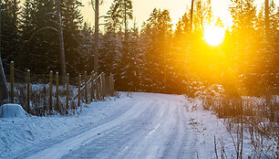 &bdquo;Biorina Winter Rally Roki&scaron;kis 2026&ldquo; greičio ruožų vaizdai