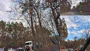 Netikėtai pradėti Romainių kalno tvarkymo darbai / &bdquo;Romainiai - Naujieji Romainiai&ldquo; soc. tinklų nuotr.