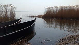 Juodkrantės pakrantės