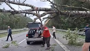Medžio &scaron;alinimas automagistralėje A1 po audros