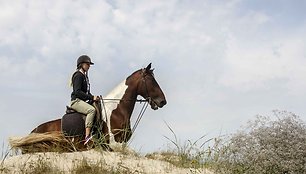 Zigmo žirgynas Palangoje