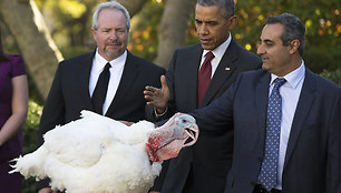 Barackas Obama suteikė malonę kalakutei Abei.