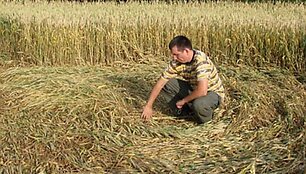 Keistas rei&scaron;kinys Kubanės laukuose