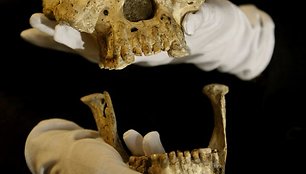 Hominidų fosilijos mokslininkams suteikia daug svarbios informacijos apie žmonių protėvius