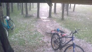 Ledai gegužės 19 d. &scaron;iaurės Lietuvoje