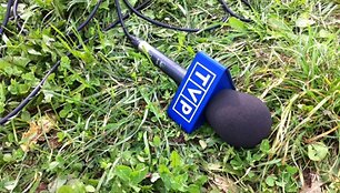 Lenkų protesto mitingas prie Lietuvos respublikos Seimo