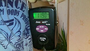 11,9 kg Donato sugauta lydeka