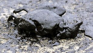 Laivas &bdquo;Rena&ldquo;, užplaukęs ant seklumos