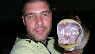 Hario lydeka