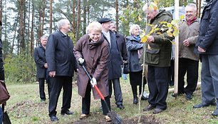 Dalia Grybauskaitė sodina ąžuoliuką.