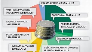 2010 metų valstybės biudžetas