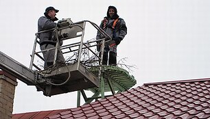 Ant specialių platformų užkeliami gandralizdžiai.