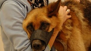 Rio i&scaron;trūko i&scaron; mirtimi grėsusio įkalinimo.