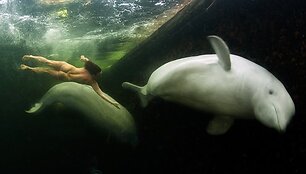Natalijos Avsejenko pasiplaukiojimas su baltaisiais delfinais