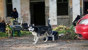 Talka prie būsimos prieglaudos pastato