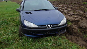 Automobilis &bdquo;Peugeot 206&ldquo;
