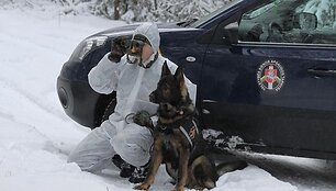 Pasieniečių patruliai