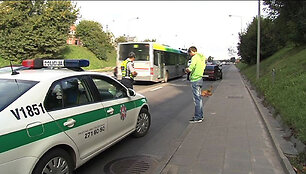 Ukmergės g. į kelią i&scaron;bėgo stirna