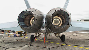F/A-18 &bdquo;Hornet&ldquo; galinė dalis