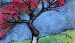 Jono Daniliausko, "Žydinti rožinė obelis", 2011 m., pastelė/flizelinas