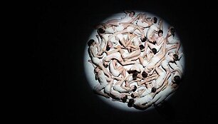 "Kūrybinis impulsas"