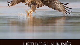 Fotografijų konkurso &bdquo;Gintarinis žaltys 2012&ldquo; albumas