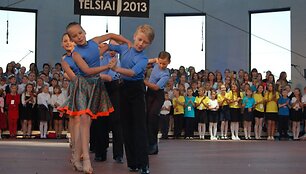 Tel&scaron;ių miesto &scaron;ventė