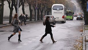 VDU perėja