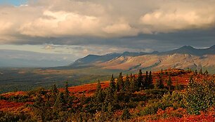 Rudeni&scaron;kos Denali parko platybės
