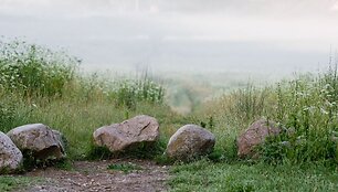 Ar akmuo &ndash; maistas? 