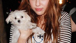Miley Cyrus