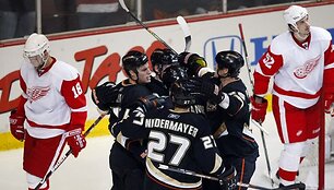 Titulą ginantiems &bdquo;Red Wings&ldquo; ledo ritulininkams teks žaisti lemiamas septintąsias serijos rungtynes