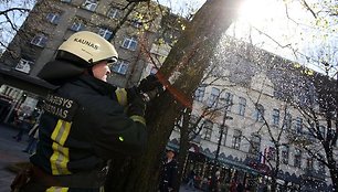 vykio vietoje plušėję ugniagesiai tvirtino, jog panašių iškvietimų, ypač šiltuoju metų laikotarpiu, sulaukia gana dažnai.